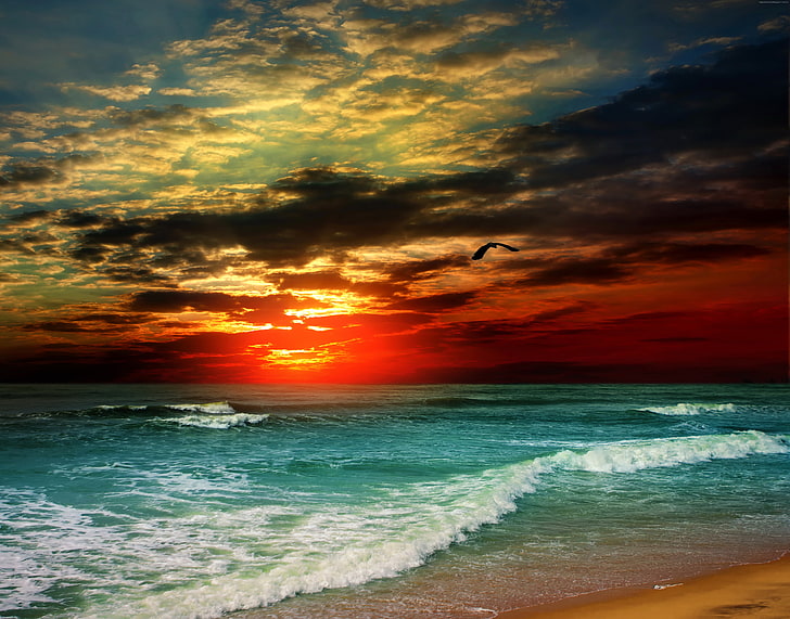 océano, mar, 8k, nubes, 4k, puesta de sol, 5k, orilla, Fondo de pantalla HD