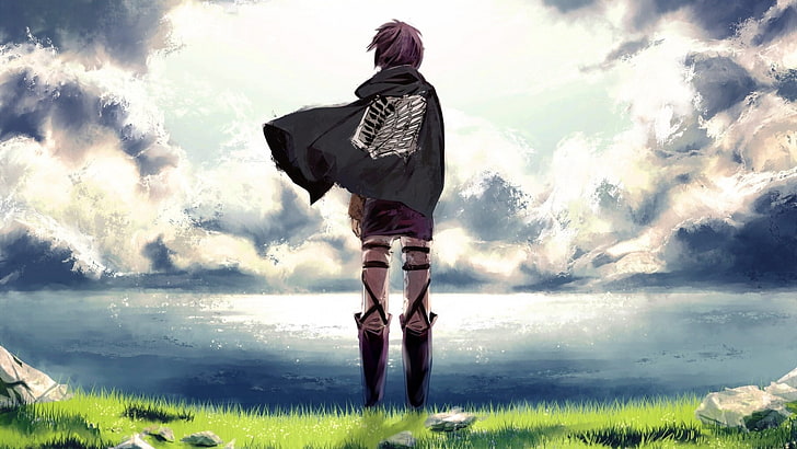 purple haired character illustration, Shingeki no Kyojin, anime, anime girls, Attack on Titans, Mikasa Ackerman, HD wallpaper