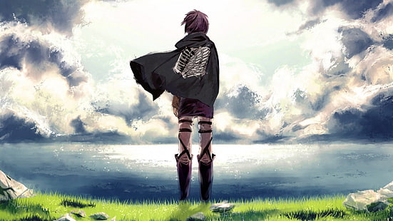 илюстрация с лилав косъм, Shingeki no Kyojin, аниме, аниме момичета, Attack on Titans, Mikasa Ackerman, HD тапет HD wallpaper
