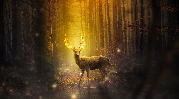 Fire Deer Fantasy Art ، خلفية رقمية الغزلان ، عطلات ، هالوين ، إبداعي ، سحر ، أشجار ، تصميم ، خيال ، غابة ، غابة ، غزال ، روح ، نار ، سريالية ، قرون ، تعديل الصورة ، أحلام اليقظة ، غريب ، حالمة، خلفية HD