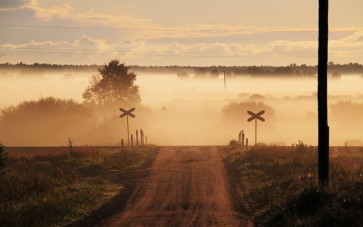 sentiero sterrato marrone, strada, campo, nebbia, in movimento, Sfondo HD