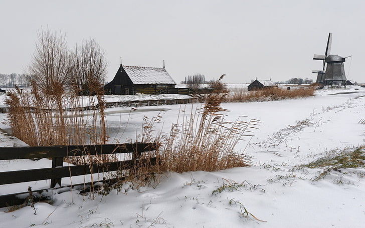 brown leafed plant, winter, Russia, village, landscape, windmill, snow, HD wallpaper