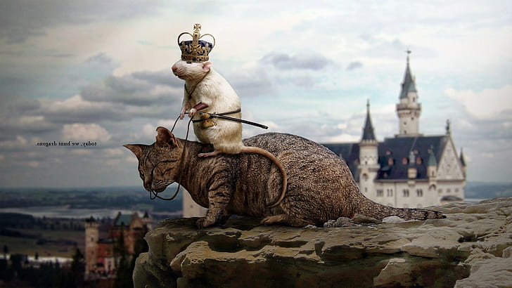 cat, mice, Photo Manipulation, Rats, HD wallpaper