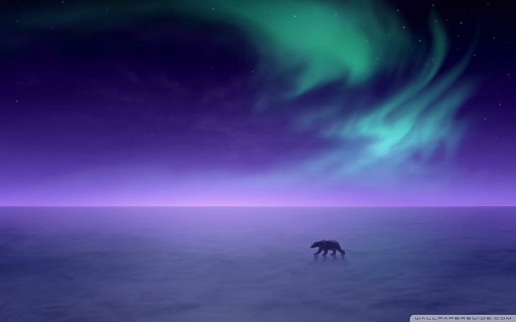 Polar Bear In The Northern Lights, northern lights, aurora borealis, the northern lights, polar bear, aurora, nature and landscapes, HD wallpaper