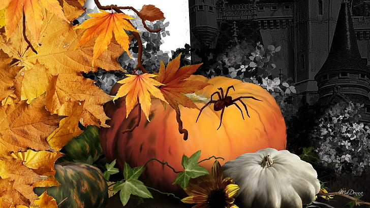 Halloween Haunt, урожай, клен, осень, хэллоуин, листья, тыква, тыква, жуткий, сквош, паук, жуткий, осень, нату, HD обои