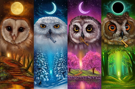 kolaż czterech sów w różnych kolorach, księżyc, klucze, sowy, Strażnicy kluczy, Tapety HD HD wallpaper