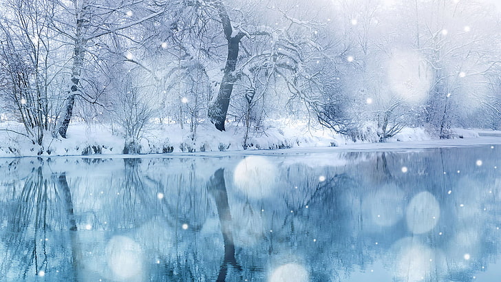 Icy Snowflakes icy snow snowflakes ice blue winter HD wallpaper   Peakpx
