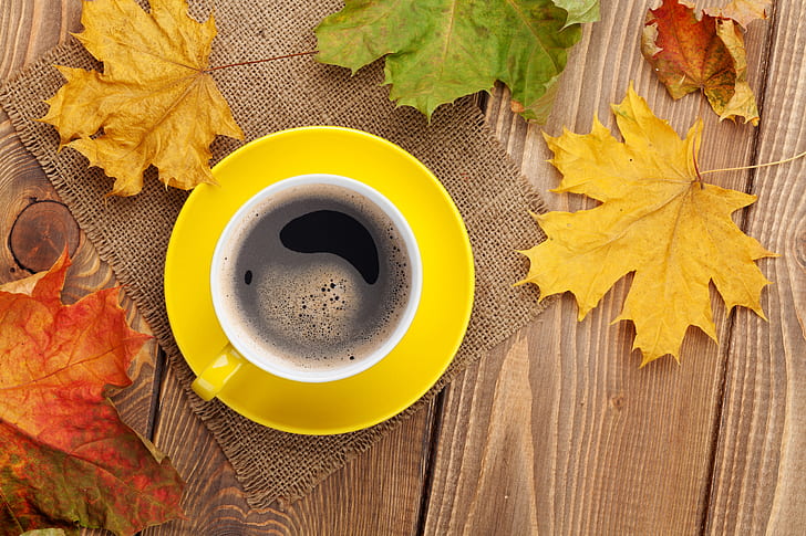 autumn, coffee, Cup, maple, leaves, fall, autumn leaves, HD wallpaper