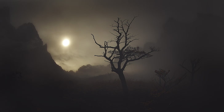 fotografía de silueta de árbol, naturaleza, paisaje, niebla, sombra, árboles, montañas, luz solar, oscuro, Patagonia, Chile, arbustos, atmósfera, beige, Fondo de pantalla HD