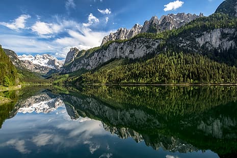 лес, горы, озеро, отражение, Австрия, Альпы, озеро Гозау, Верхняя Австрия, HD обои HD wallpaper