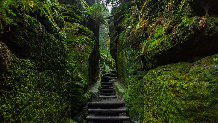 stones, moss, Germany, stage, National Park Saxon Switzerland, HD wallpaper