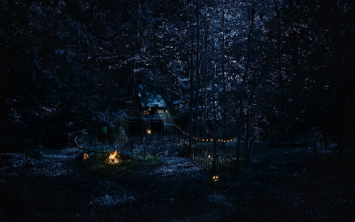 dom w lesie nocą tapeta, kabina, las, noc, ognisko, Tapety HD