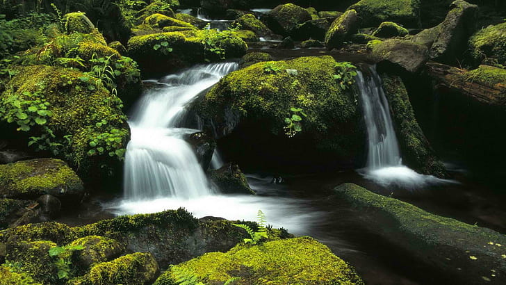Wälder National Oregon breit, Wasserfälle, Wälder, national, Oregon, breit, HD-Hintergrundbild