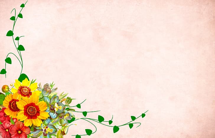 flowers, background, postcard, template, blank, HD wallpaper