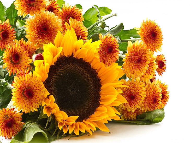 yellow sunflowers, sunflowers, chrysanthemums, flowers, bouquet, lies, composition, HD wallpaper