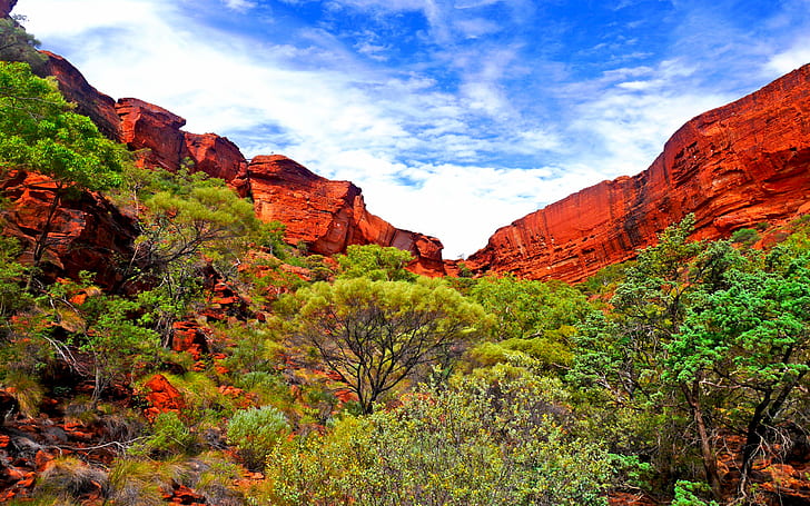 Avustralya Kuzey Bölgesi Kings Kanyon Görünümü Kanyon Masaüstü Hd Duvar Kağıdı 2560 × 1600, HD masaüstü duvar kağıdı