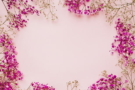 blommor, bakgrund, rosa, ram, blommor, HD tapet HD wallpaper