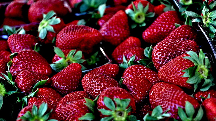Erdbeeren, Erdbeeren, Beeren, reif, HD-Hintergrundbild