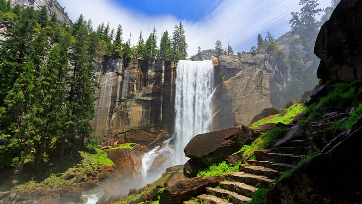 Bäume und Wasserfälle, Landschaft, Natur, HD-Hintergrundbild