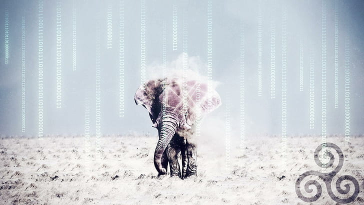 Gajah, Triskel, Gurun, Matriks, Wireframes, Hewan, gajah abu-abu, gajah, triskel, gurun, matriks, gambar rangka, hewan, 1920x1080, Wallpaper HD