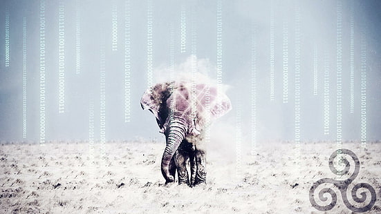 Elefanten, Triskel, Wüste, The Matrix, Wireframes, Tiere, grauer Elefant, Elefanten, Triskel, Wüste, The Matrix, Wireframes, Tiere, 1920x1080, HD-Hintergrundbild HD wallpaper