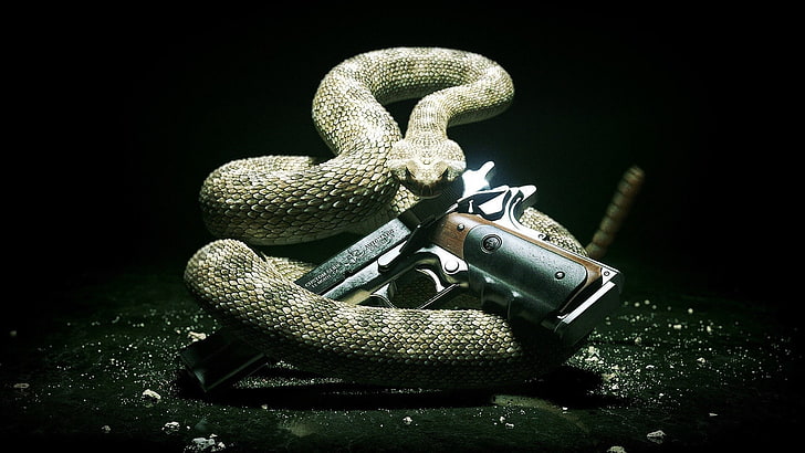 Hitman, animais, cobra, arma, 1911, HD papel de parede