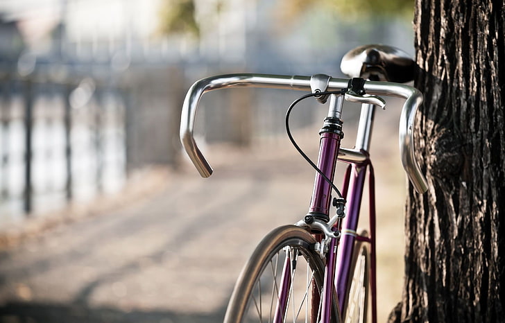 серый и фиолетовый дорожный велосипед, дорога, велосипед, отлично, город, парк, фон, дерево, обои, размытие, багажник, велосипед, разные, широкоформатные, боке, полноэкранные, HD wallpapers, HD обои