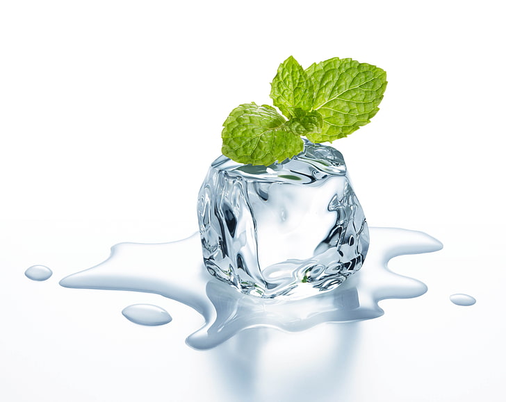 melting ice illustration, cube, ice, mint leaves, water, white background, HD wallpaper
