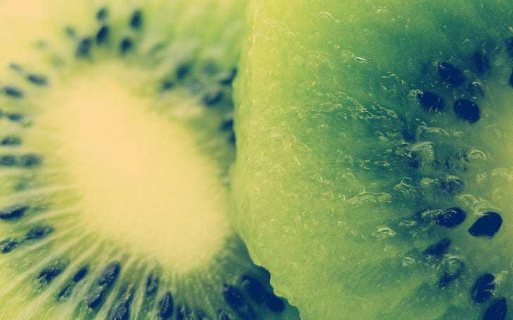 Makrokiwi, Kiwi, Makro, Früchte, HD-Hintergrundbild
