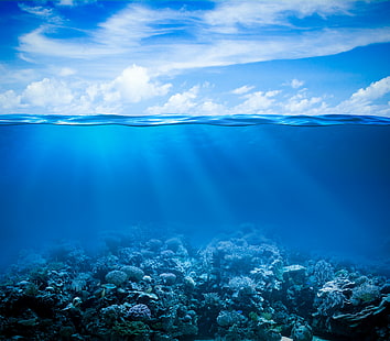 Paz subaquática, tropical, coral, recife, subaquática, oceano, peixes, recife de coral, mar, paz, HD papel de parede HD wallpaper
