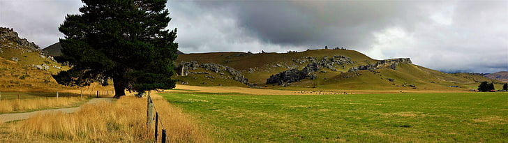 녹색 잔디 필드, 뉴질랜드, 쿡 산 풍경, HD 배경 화면