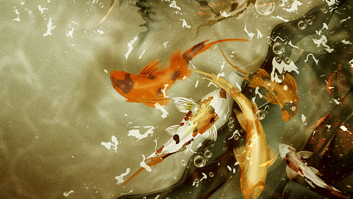 Koi Fish Fish Drawing HD, digital / karya seni, menggambar, ikan, koi, Wallpaper HD