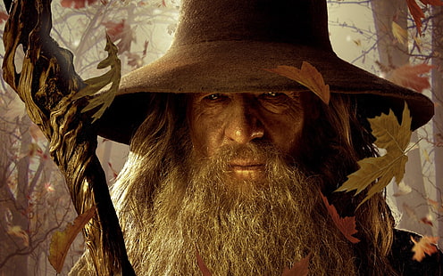 Gandalf tapety, Gandalf, Władca Pierścieni, Ian McKellen, Hobbit, jesień, liście, czarodziej, filmy, Tapety HD HD wallpaper