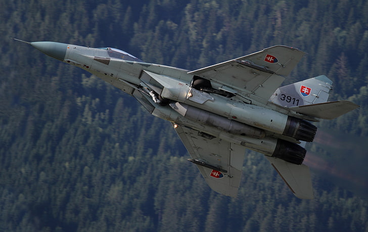 طائرة مقاتلة رمادية ، مقاتلة ، متعددة الأغراض ، من طراز MiG-29 ، و MiG-29، خلفية HD