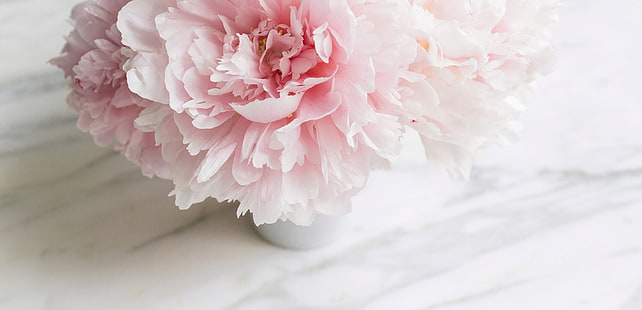 花、花束、大理石、ピンク、牡丹、柔らかい、 HDデスクトップの壁紙 HD wallpaper