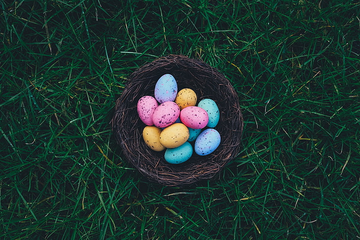baskets, eggs, grass, Easter, easter eggs, nests, HD wallpaper