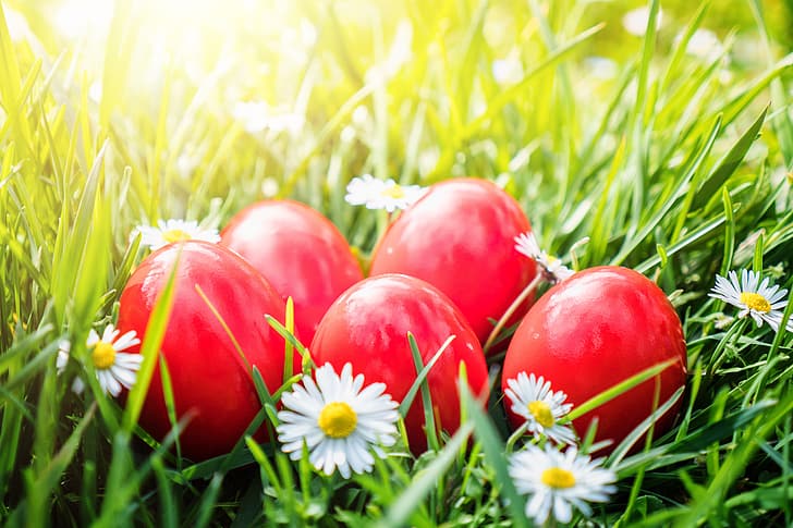 rumput, bunga, keranjang, paskah, musim semi, telur, dekorasi, bahagia, telur yang dicat, Wallpaper HD