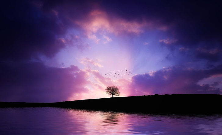 ツリーの夕日、水域、エアロ、創造的です、自然、美しい、紫、夕日、丘、湖、ツリー、驚くべき、鳥、雲、日光、孤独、息をのむ、onetree、lonetree、onesingletree、singletree、 HDデスクトップの壁紙