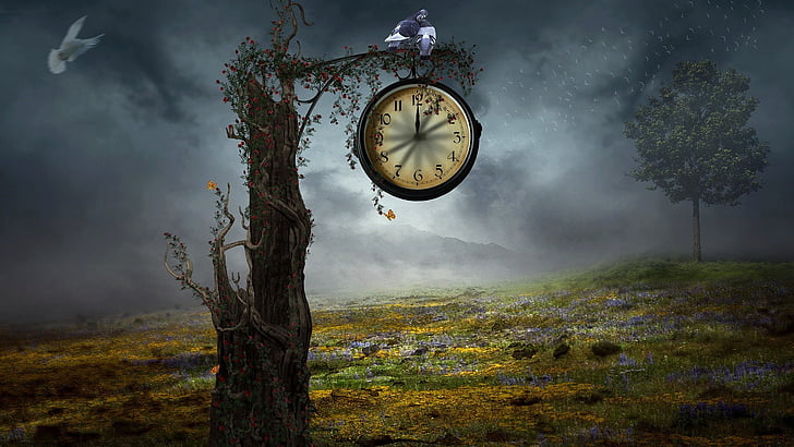 Life, clock, timepiece, time, wall clock, old, symbol, analog clock, watch, HD  wallpaper | Wallpaperbetter