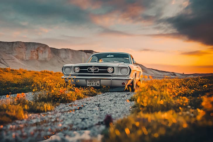Mustang, Ford, Shelby, Auto, Weiß, GT350, HD-Hintergrundbild