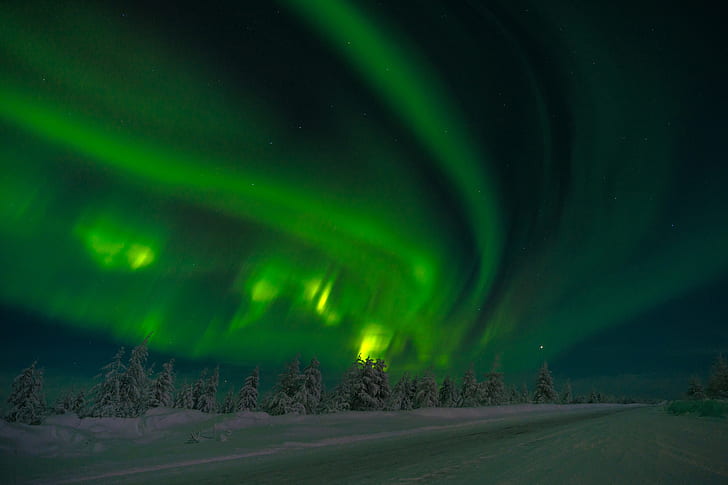 winter, road, forest, the sky, snow, trees, night, stars, Northern lights, Russia, Siberia, Yakutia, HD wallpaper