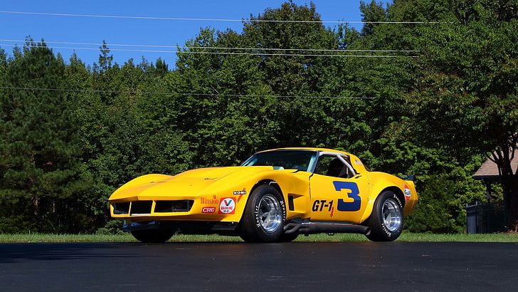 (c3), 1969, cars, chevrolet, corvette, race, HD wallpaper