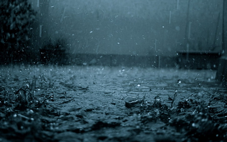 fondo de pantalla de gota de lluvia, foto de gotas de lluvia por la noche, lluvia, fotografía, agua, noche, oscuridad, gotas de agua, Fondo de pantalla HD
