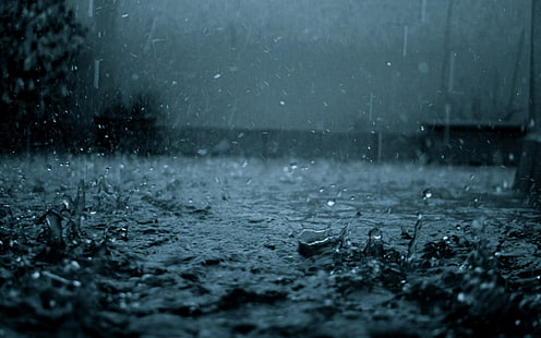 خلفية قطرة المطر ، صورة قطرات المطر في الليل ، المطر ، التصوير الفوتوغرافي ، الماء ، الليل ، الظلام ، قطرات الماء، خلفية HD HD wallpaper