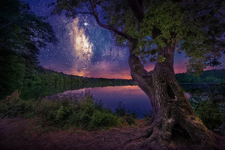 небо, пейзаж, ночь, природа, озеро, дерево, берег, звезды, лес, HD обои