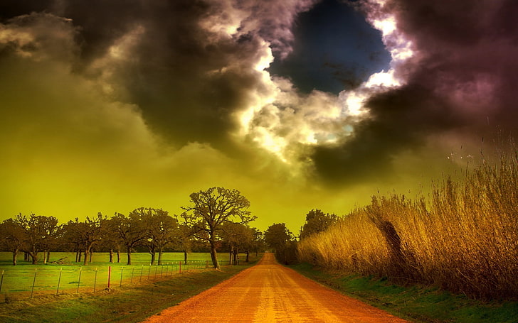 estrada suja entre árvores, céu, nuvens, brilho, cores, HD papel de parede