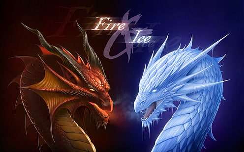 Papel de parede de dragão de fogo e gelo, Fantasia, Dragão, Fogo, Gelo, HD papel de parede HD wallpaper