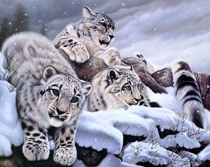 three brown-and-black cubs, winter, snow, art, IRBIS, snow leopard, Daniel Renn Pierce, HD wallpaper