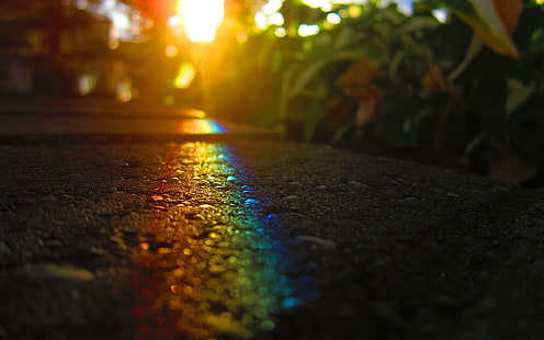 фотография на боке на дъгова светлина, макро, асфалт, път, изгрев, дъги, боке, HD тапет HD wallpaper