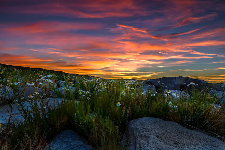 Sierra Nevada, paysage, nature, Fond d'écran HD
